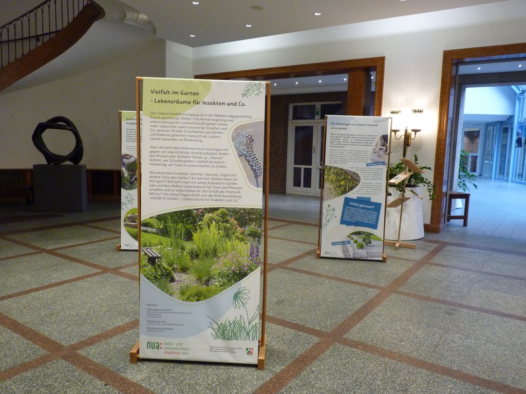 Ausstellung im Rathausfoyer